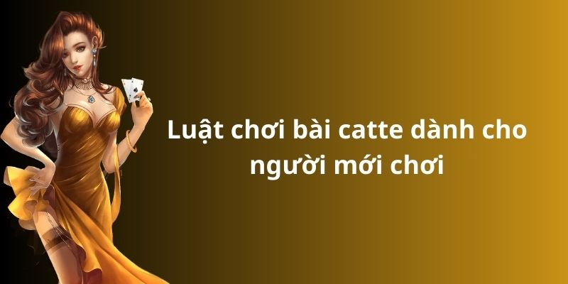 Mẹo đánh rồng hổ - Hướng dẫn từ A đến Z để thành công 10 Luật chơi bài catte dành cho người mới chơi