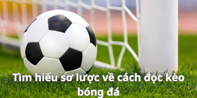 Tìm hiểu sơ lược về cách đọc kèo bóng đá